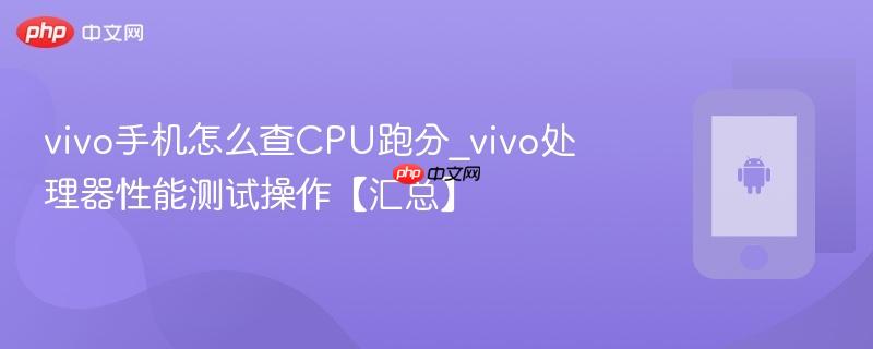 vivo手机怎么查cpu跑分_vivo处理器性能测试操作【汇总】