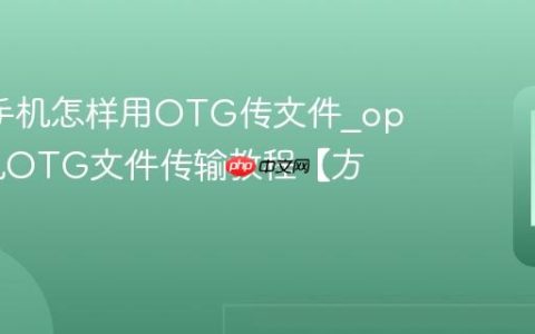 oppo手机怎样用OTG传文件?oppo手机OTG文件传输教程【方法】