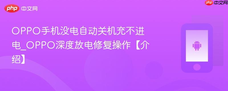oppo手机没电自动关机充不进电_oppo深度放电修复操作【介绍】