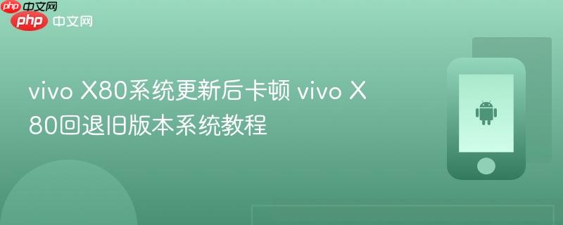 vivo x80系统更新后卡顿 vivo x80回退旧版本系统教程