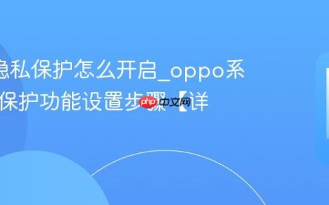 oppo隐私保护怎么开启?oppo系统隐私保护功能设置步骤【详解】