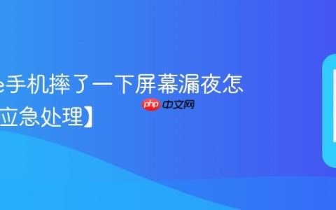 iphone手机摔了一下屏幕漏夜怎么办【应急处理】