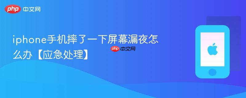 iphone手机摔了一下屏幕漏夜怎么办【应急处理】