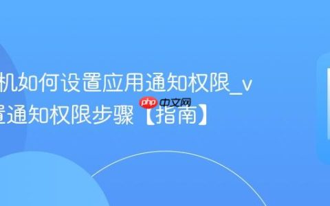 vivo手机如何设置应用通知权限?vivo设置通知权限步骤【指南】