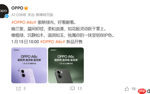 主打长续航超耐用！OPPO A6c 新品1月15日见
