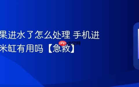 手机如果进水了怎么处理 手机进水放入米缸有用吗【急救】