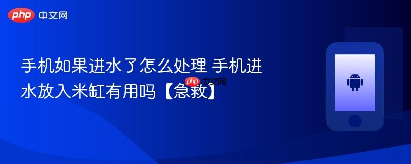 手机如果进水了怎么处理 手机进水放入米缸有用吗【急救】
