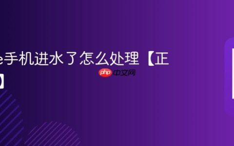iphone手机进水了怎么处理【正确处理】