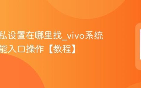 vivo隐私设置在哪里找?vivo系统隐私功能入口操作【教程】
