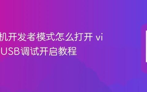 vivo手机开发者模式怎么打开 vivo手机USB调试开启教程