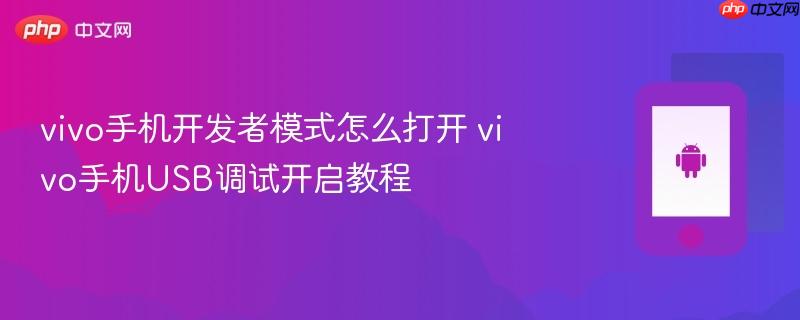 vivo手机开发者模式怎么打开 vivo手机usb调试开启教程