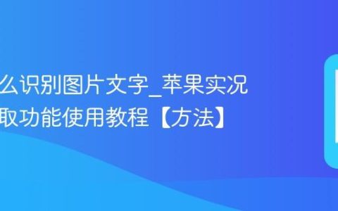 苹果怎么识别图片文字?苹果实况文本提取功能使用教程【方法】