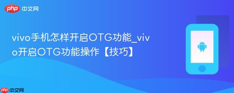 vivo手机怎样开启otg功能_vivo开启otg功能操作【技巧】