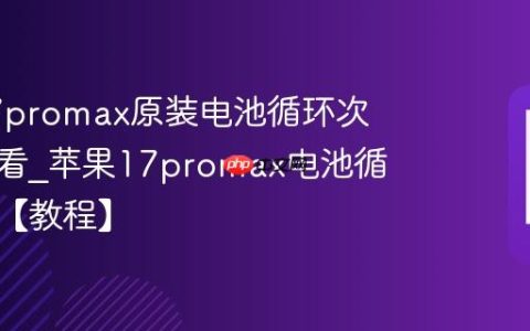 苹果17promax原装电池循环次数怎么看?苹果17promax电池循环查询【教程】