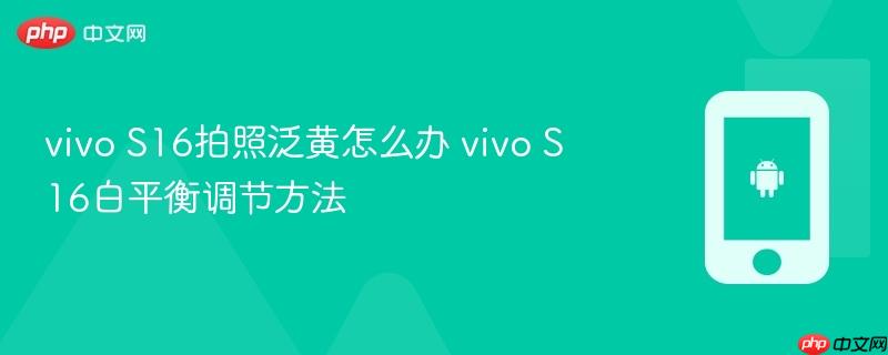 vivo s16拍照泛黄怎么办 vivo s16白平衡调节方法