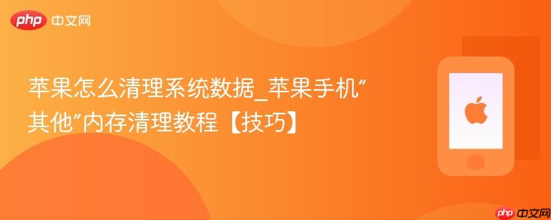 苹果怎么清理系统数据_苹果手机“其他”内存清理教程【技巧】
