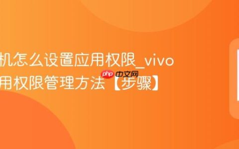vivo手机怎么设置应用权限?vivo手机应用权限管理方法【步骤】