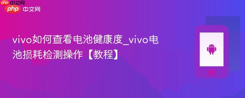 vivo如何查看电池健康度_vivo电池损耗检测操作【教程】