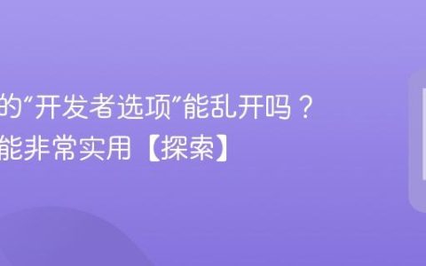 手机上的“开发者选项”能乱开吗？这些功能非常实用【探索】