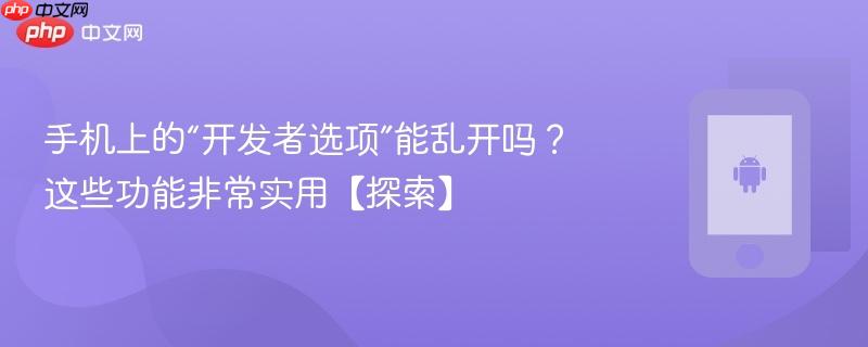 手机上的“开发者选项”能乱开吗？这些功能非常实用【探索】