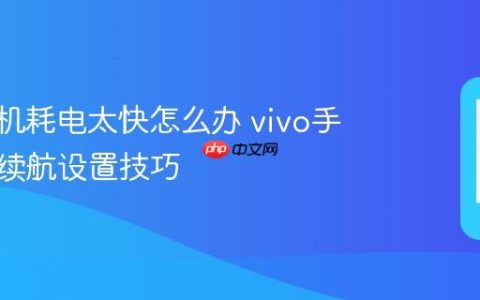 vivo手机耗电太快怎么办 vivo手机延长续航设置技巧