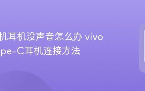 vivo手机耳机没声音怎么办 vivo手机Type-C耳机连接方法
