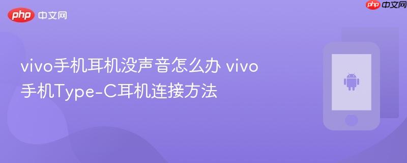 vivo手机耳机没声音怎么办 vivo手机type-c耳机连接方法