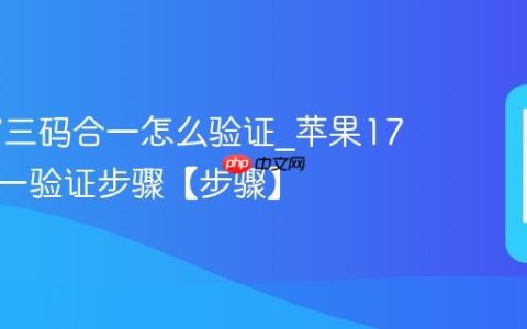苹果17三码合一怎么验证?苹果17三码合一验证步骤【步骤】