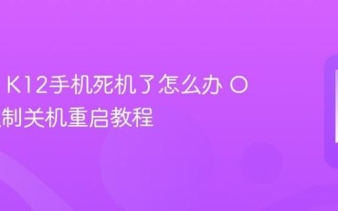 OPPO K12手机死机了怎么办 OPPO强制关机重启教程
