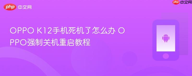 oppo k12手机死机了怎么办 oppo强制关机重启教程