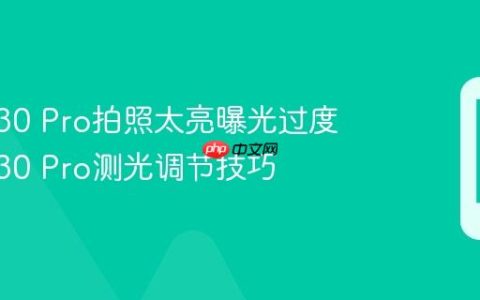 vivo V30 Pro拍照太亮曝光过度 vivo V30 Pro测光调节技巧