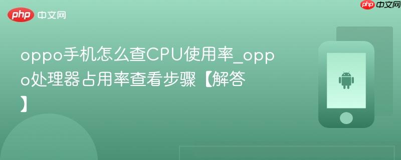 oppo手机怎么查cpu使用率_oppo处理器占用率查看步骤【解答】