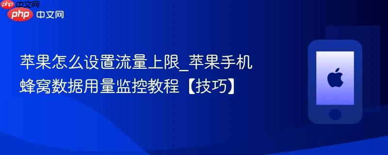 苹果怎么设置流量上限_苹果手机蜂窝数据用量监控教程【技巧】
