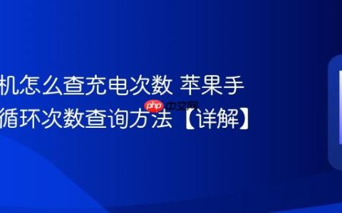 苹果手机怎么查充电次数 苹果手机电池循环次数查询方法【详解】