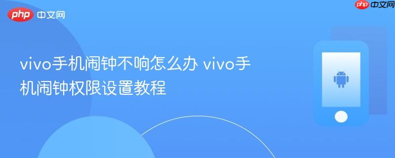 vivo手机闹钟不响怎么办 vivo手机闹钟权限设置教程