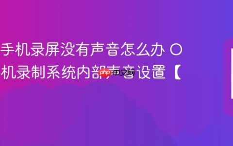 OPPO手机录屏没有声音怎么办​ OPPO手机录制系统内部声音设置【步骤】