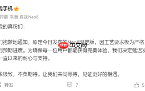 真我Neo8三星堆限定礼盒延期发布：工艺要求太严格 备货未达预期