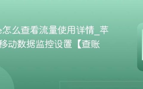 iphone怎么查看流量使用详情?苹果手机移动数据监控设置【查账】