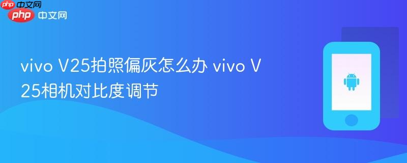 vivo v25拍照偏灰怎么办 vivo v25相机对比度调节
