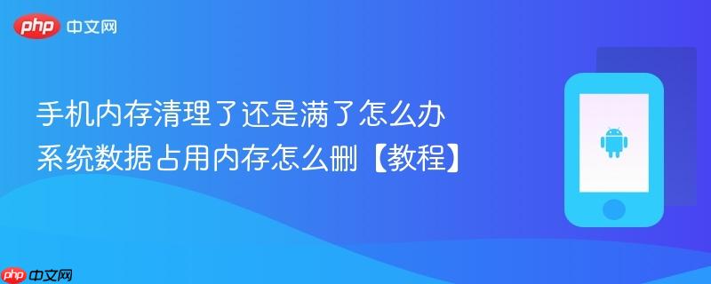 手机内存清理了还是满了怎么办 系统数据占用内存怎么删【教程】