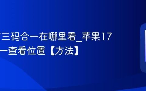 苹果17三码合一在哪里看?苹果17三码合一查看位置【方法】