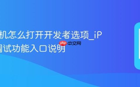 苹果手机怎么打开开发者选项?iPhone调试功能入口说明