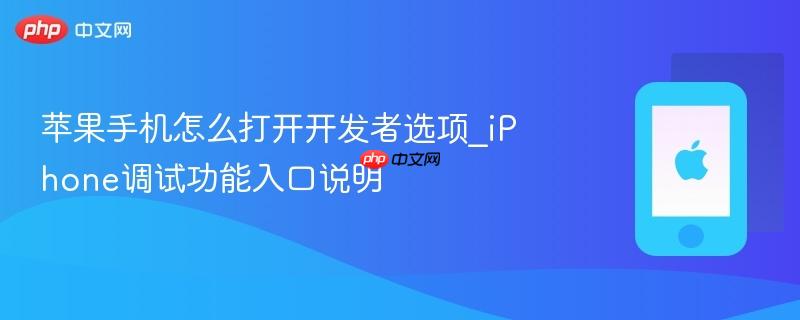 苹果手机怎么打开开发者选项_iphone调试功能入口说明