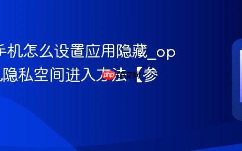 oppo手机怎么设置应用隐藏?oppo手机隐私空间进入方法【参考】