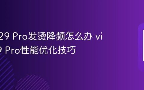 vivo V29 Pro发烫降频怎么办 vivo V29 Pro性能优化技巧