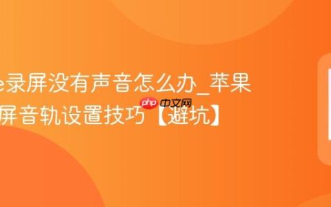 iphone录屏没有声音怎么办?苹果手机录屏音轨设置技巧【避坑】
