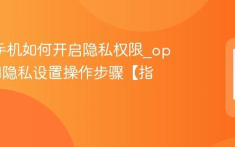 oppo手机如何开启隐私权限?oppo应用隐私设置操作步骤【指南】