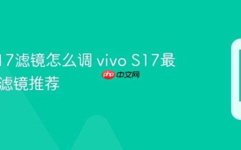 vivo S17滤镜怎么调 vivo S17最佳相机滤镜推荐