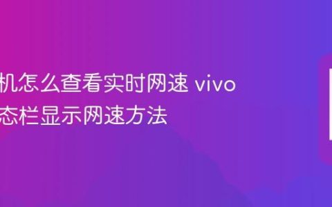 vivo手机怎么查看实时网速 vivo手机状态栏显示网速方法