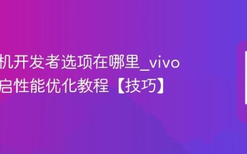 vivo手机开发者选项在哪里?vivo手机开启性能优化教程【技巧】